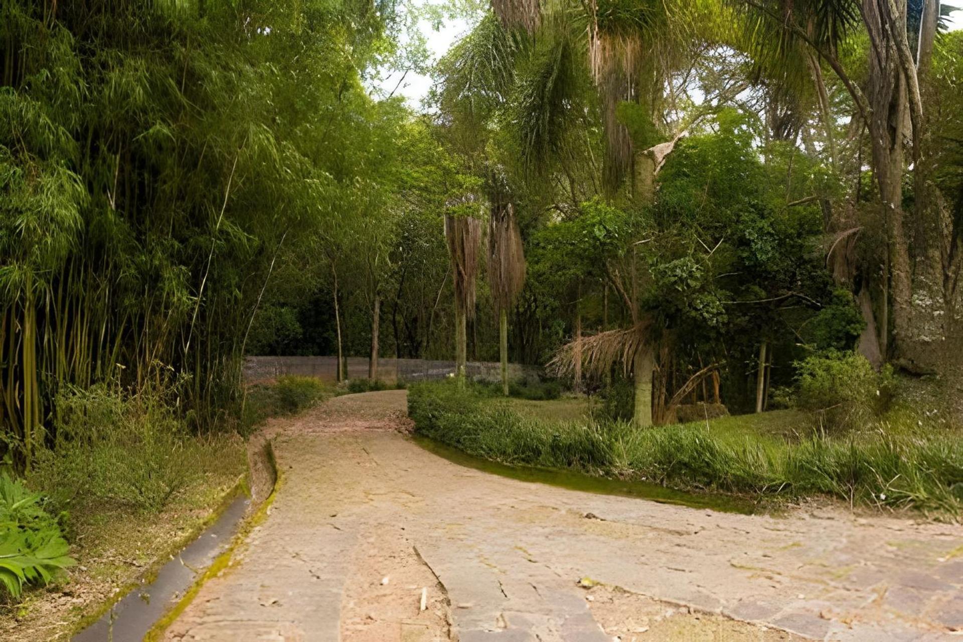 Sitio Em Sao Roque, Paraiso Ao Lado De Sao Paulo! * Sao Roque (Sao Paulo)