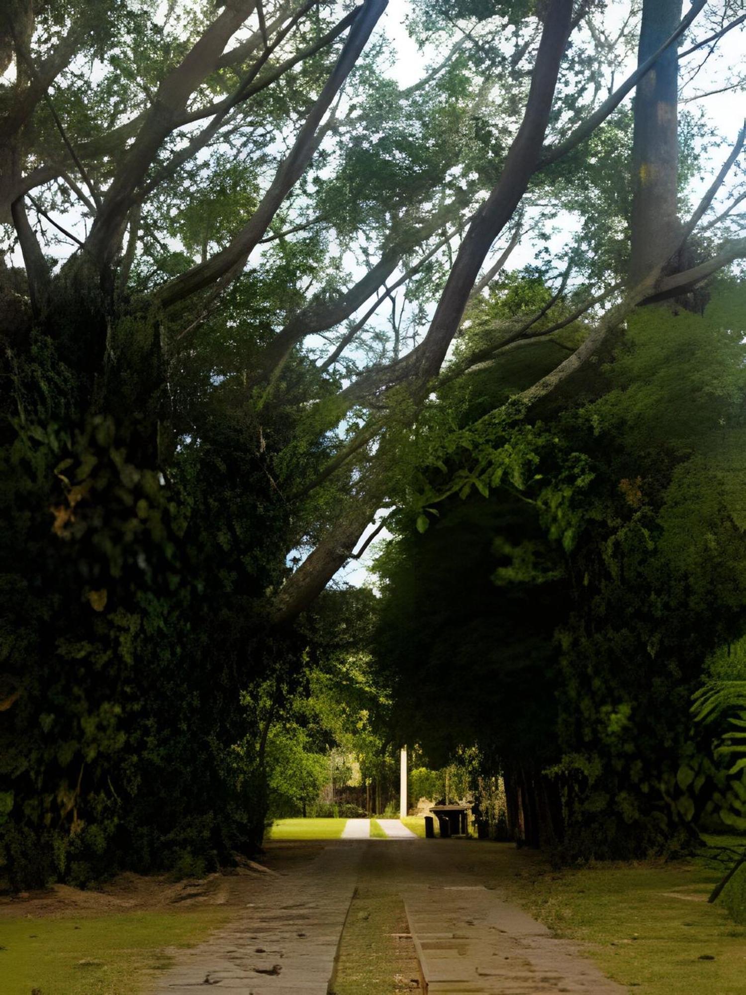 Sitio Em Sao Roque, Paraiso Ao Lado De Sao Paulo! * Sao Roque (Sao Paulo)