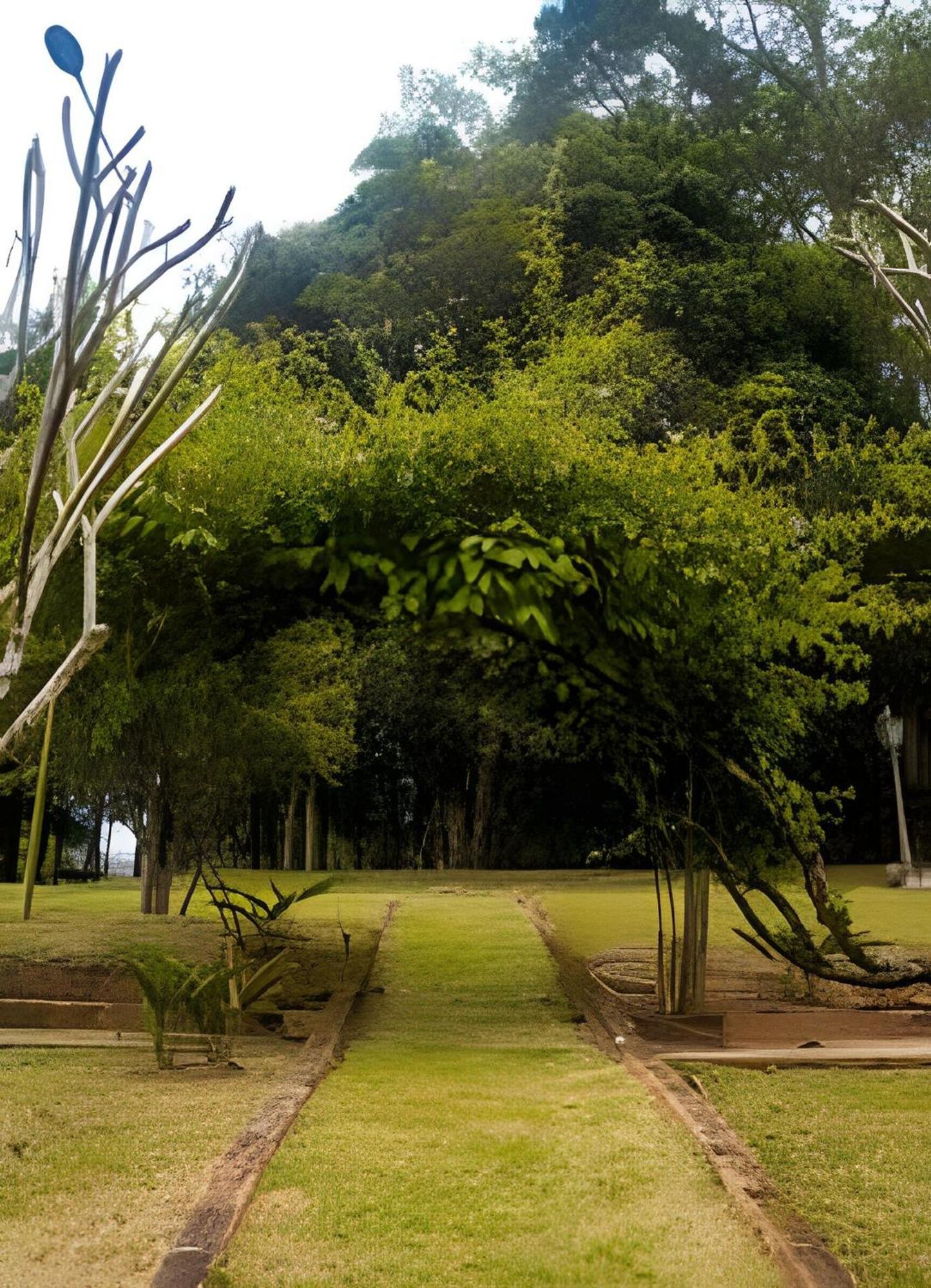 Sitio Em Sao Roque, Paraiso Ao Lado De Sao Paulo!
