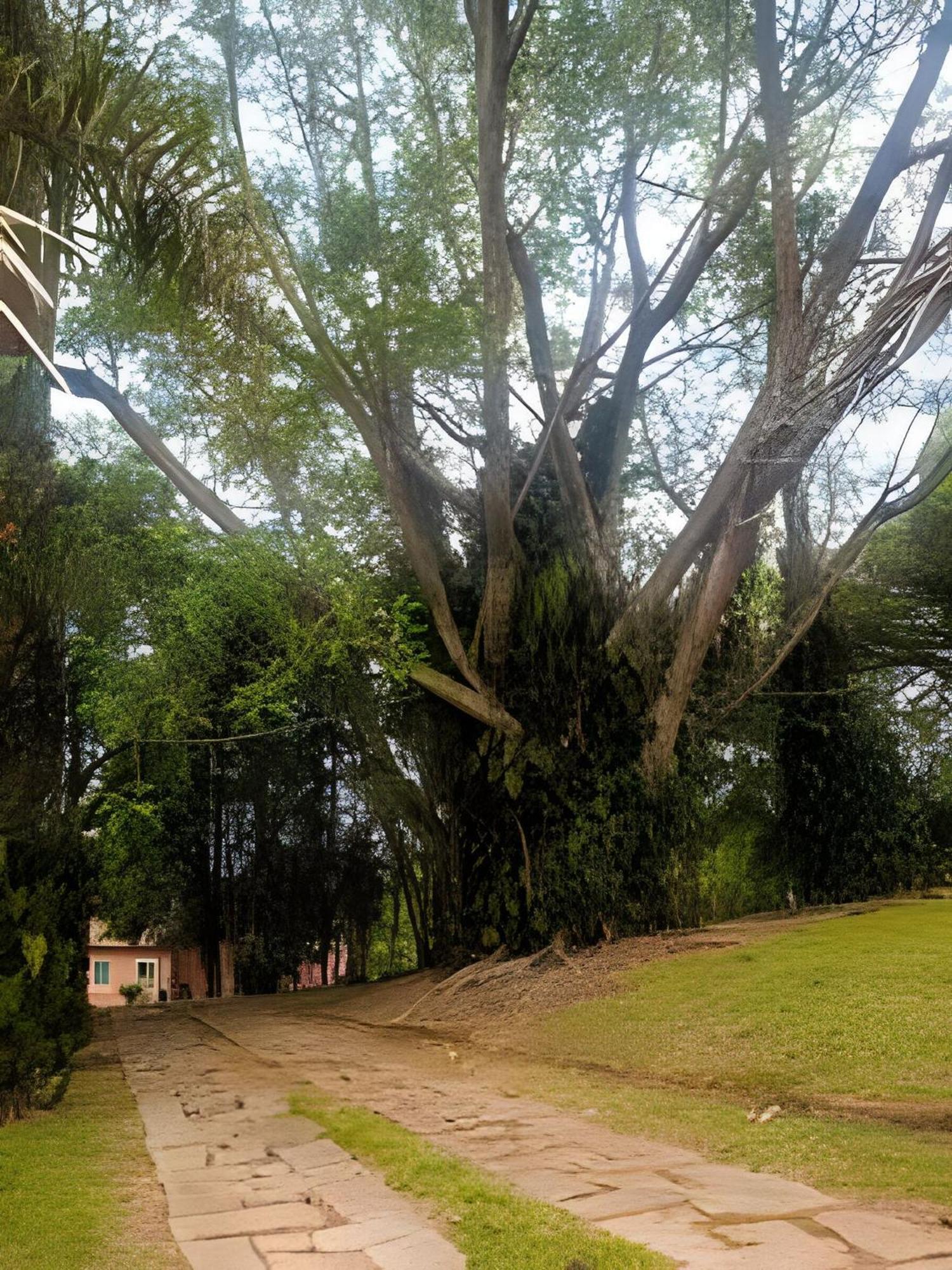Sitio Em Sao Roque, Paraiso Ao Lado De Sao Paulo! Villa